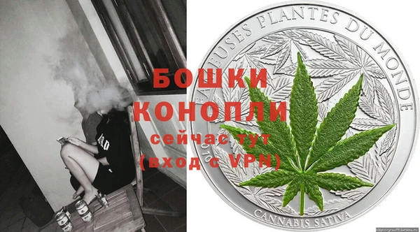 эйфоретик Ладушкин