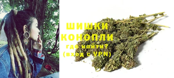 эйфоретик Ладушкин