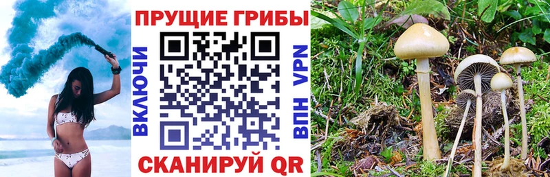 мега ссылки  Первоуральск  Галлюциногенные грибы Magic Shrooms 